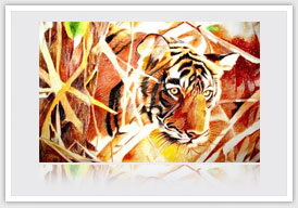 Art & Photography Art & Photography